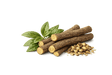Licorice Root